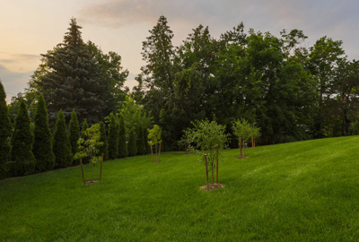 Refined image lawn and landscape, softscapes, snow & ice, lawn cutting & maintenance, residential & commercial lawn care, dunnville, ON